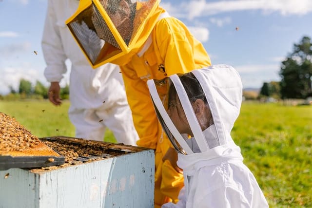 Small-Group Beekeeping Experience in Tauherenikau - Photo 1 of 12